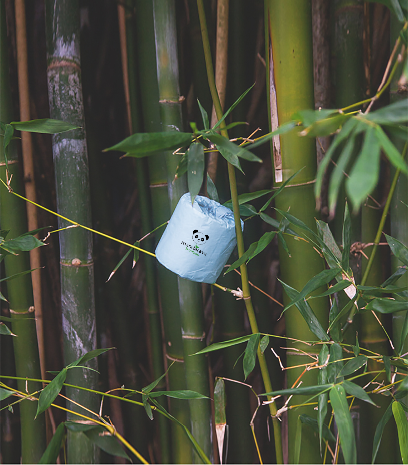 Why Choose Bamboo Pulp Toilet Paper? Eco-Friendly, Sustainable, and Safe Solutions from Hewbonn Paper