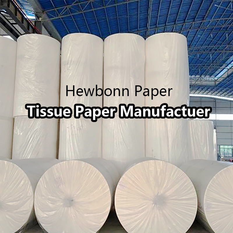 Hewbonn Paper - Leading Toilet Paper Supplier | OEM & Private Label Tissue Manufacturer