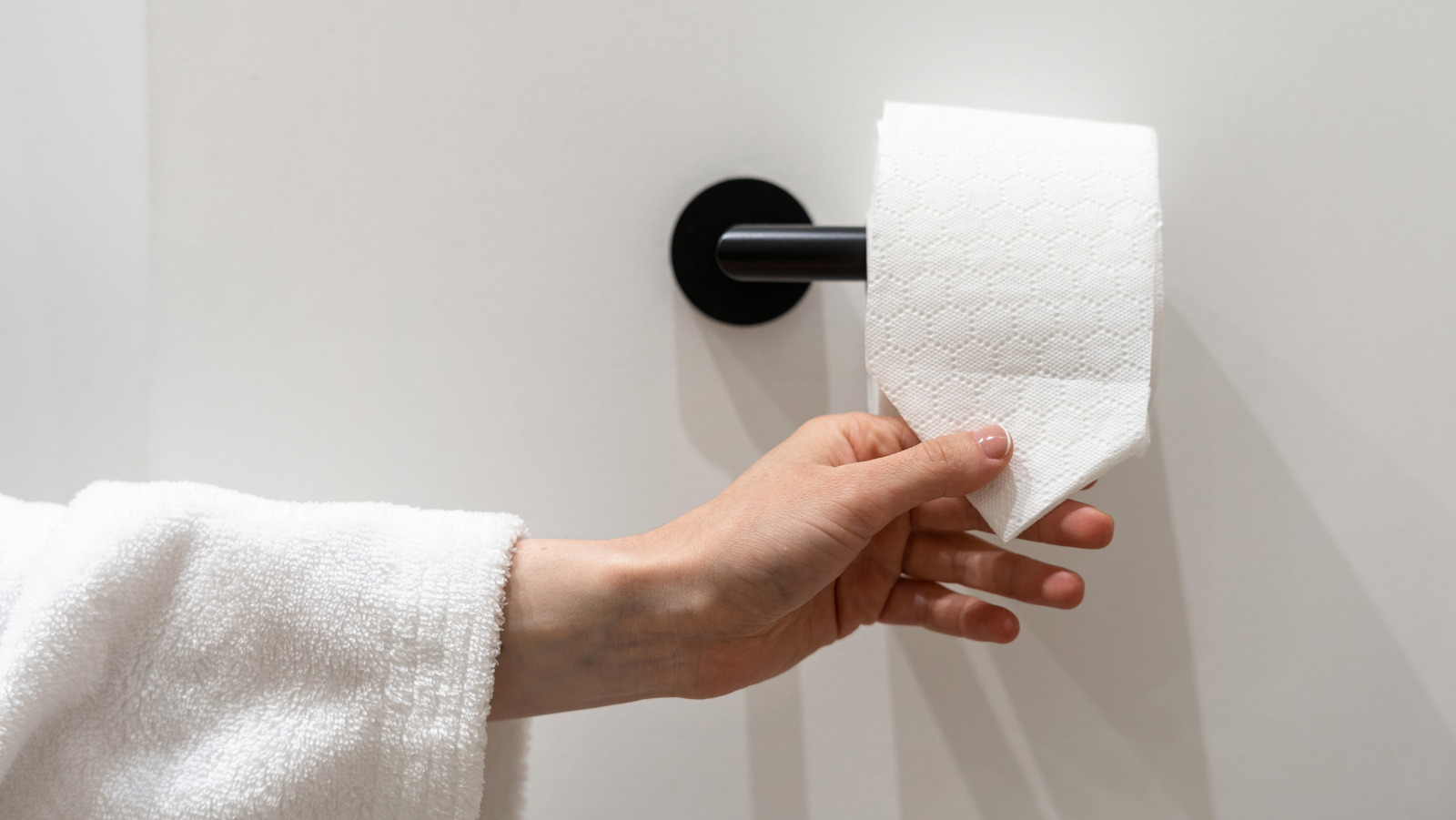 Choosing the Best Toilet Paper Material | Wood Pulp vs. Bamboo vs. Recycled