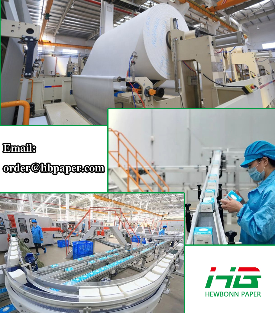 Professional toilet paper manufacturer