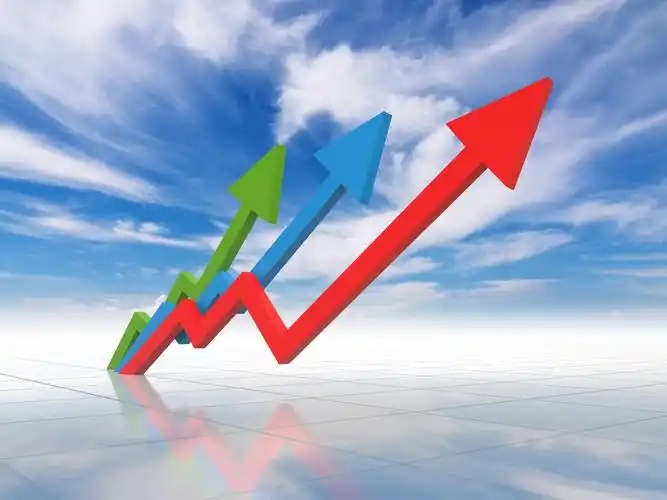 Global Toilet Paper Market Trends 2025 | OEM Supply Forecast