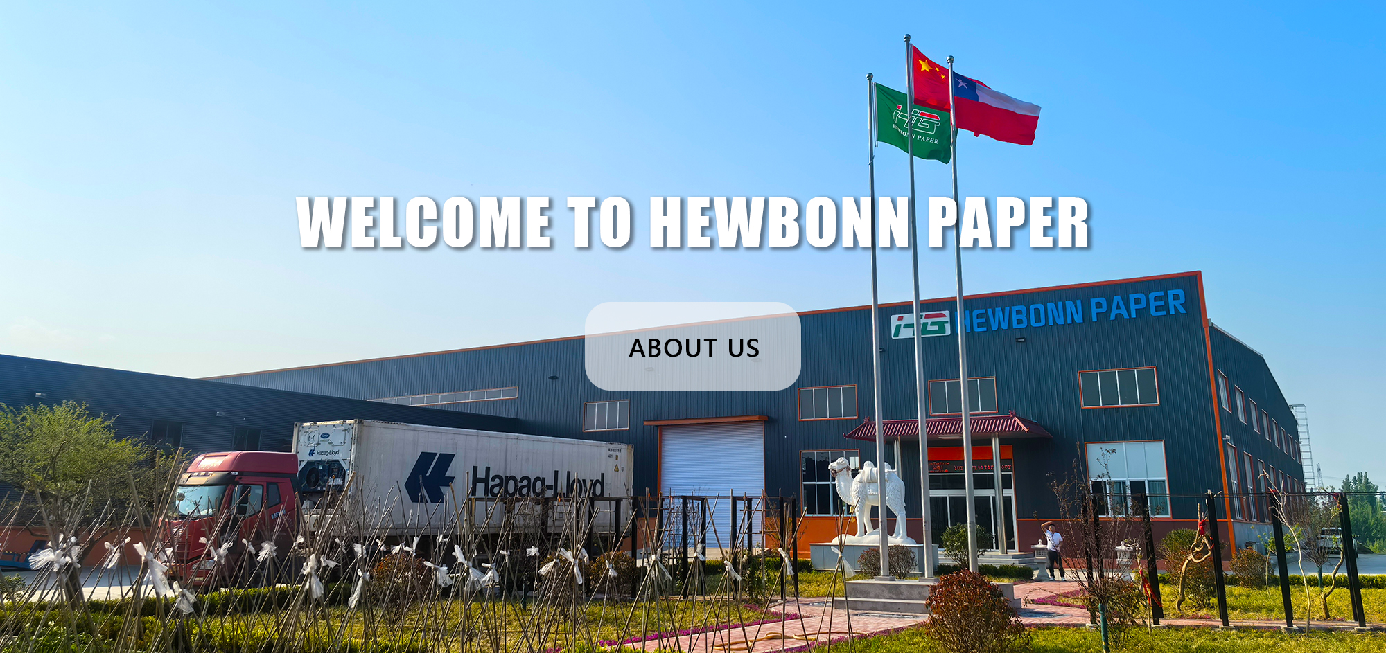 Hewbonn Paper: A Global Leading Toilet Paper Supplier with 40 Years of Trusted Manufacturing Experience
